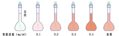 不同浓度的标准样品