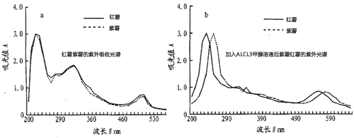 紫薯 红薯的颜色探究