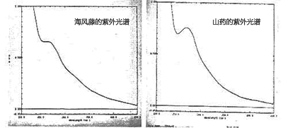 山药是一种药材吗