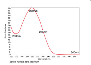 NanoDrop2000超微量分光光度计测量核酸浓度步骤
