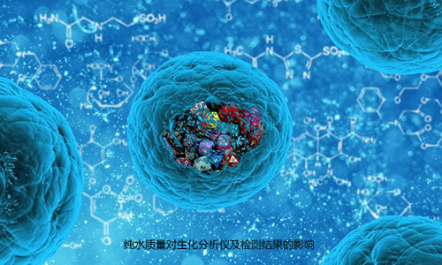 纯水质量对生化分析仪及检测结果的影响