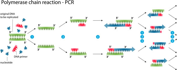 PCR仪用超纯水机